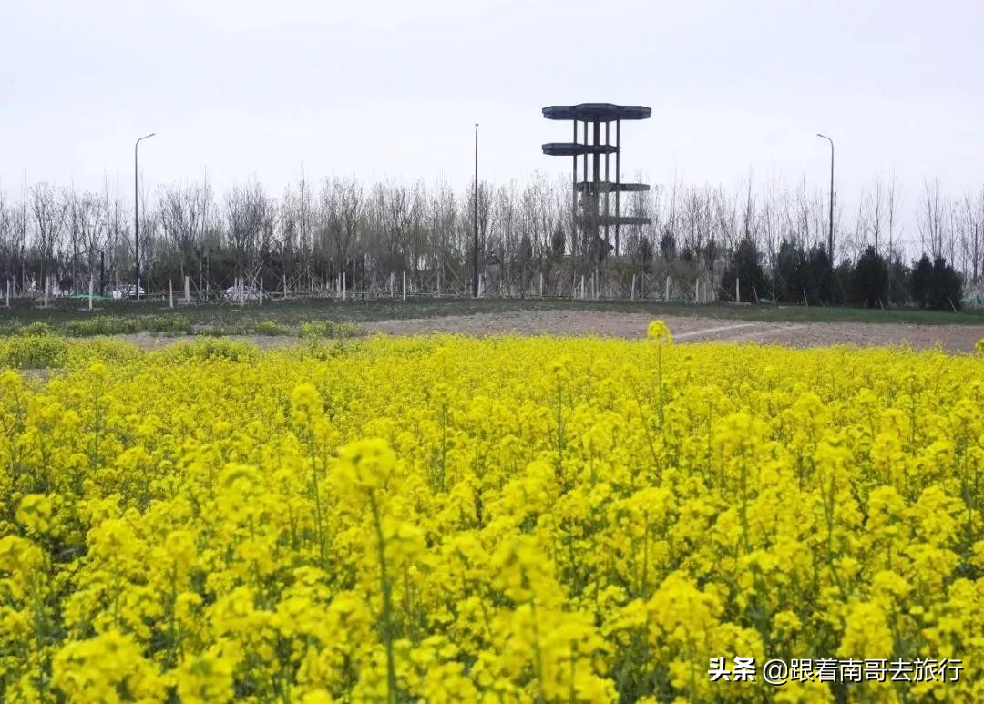 西安附近的公园免费景点推荐,西安公园免费旅游攻略最新