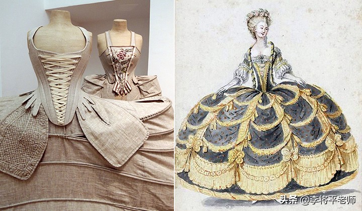 300万头鲸鱼的悲歌，欧美和日本的黑暗捕鲸史，它们驮着欧美文明