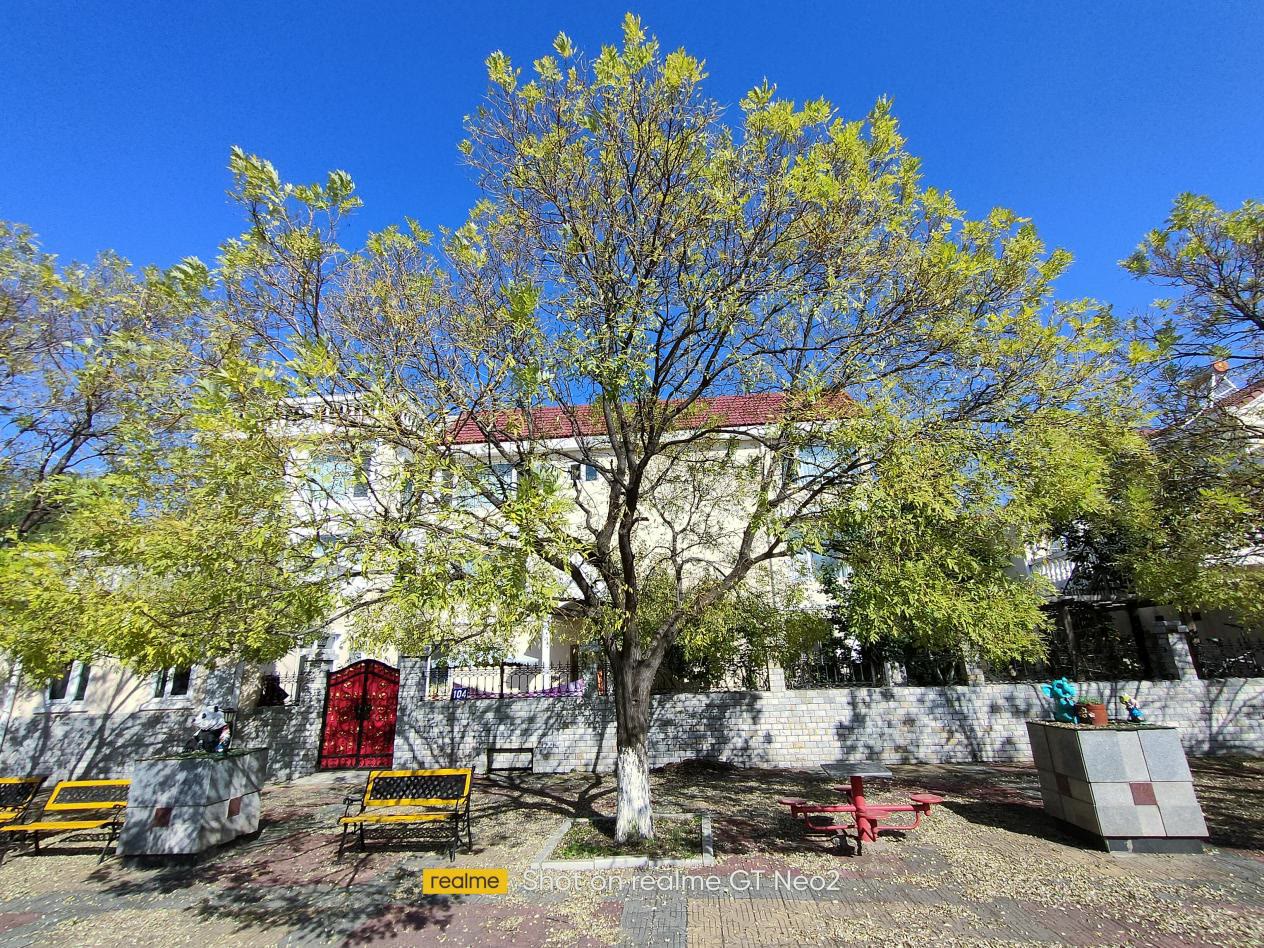 主打性价比的游戏本,主打性能性价比高的手机