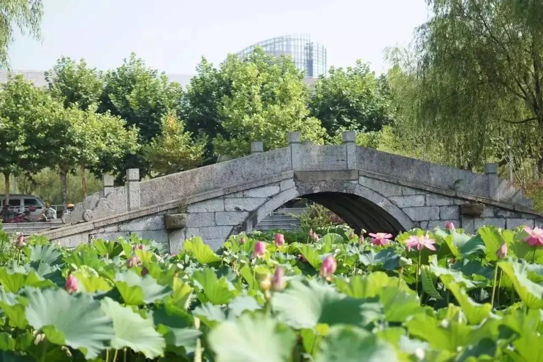 吴泾教育怎样,上海吴泾教育怎么样