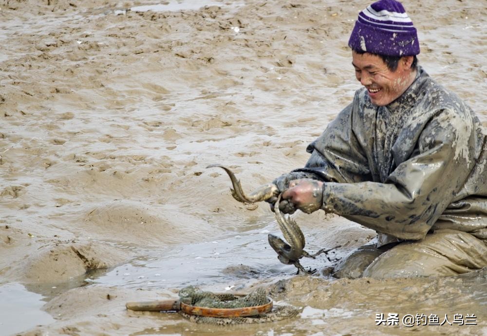 黄刺鱼的最佳串钩钓法,串钩小白鱼的技巧和方法