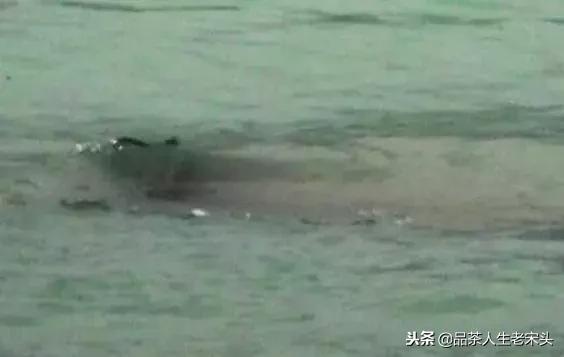 最新世界十大“怪”，最后一个太绝了！