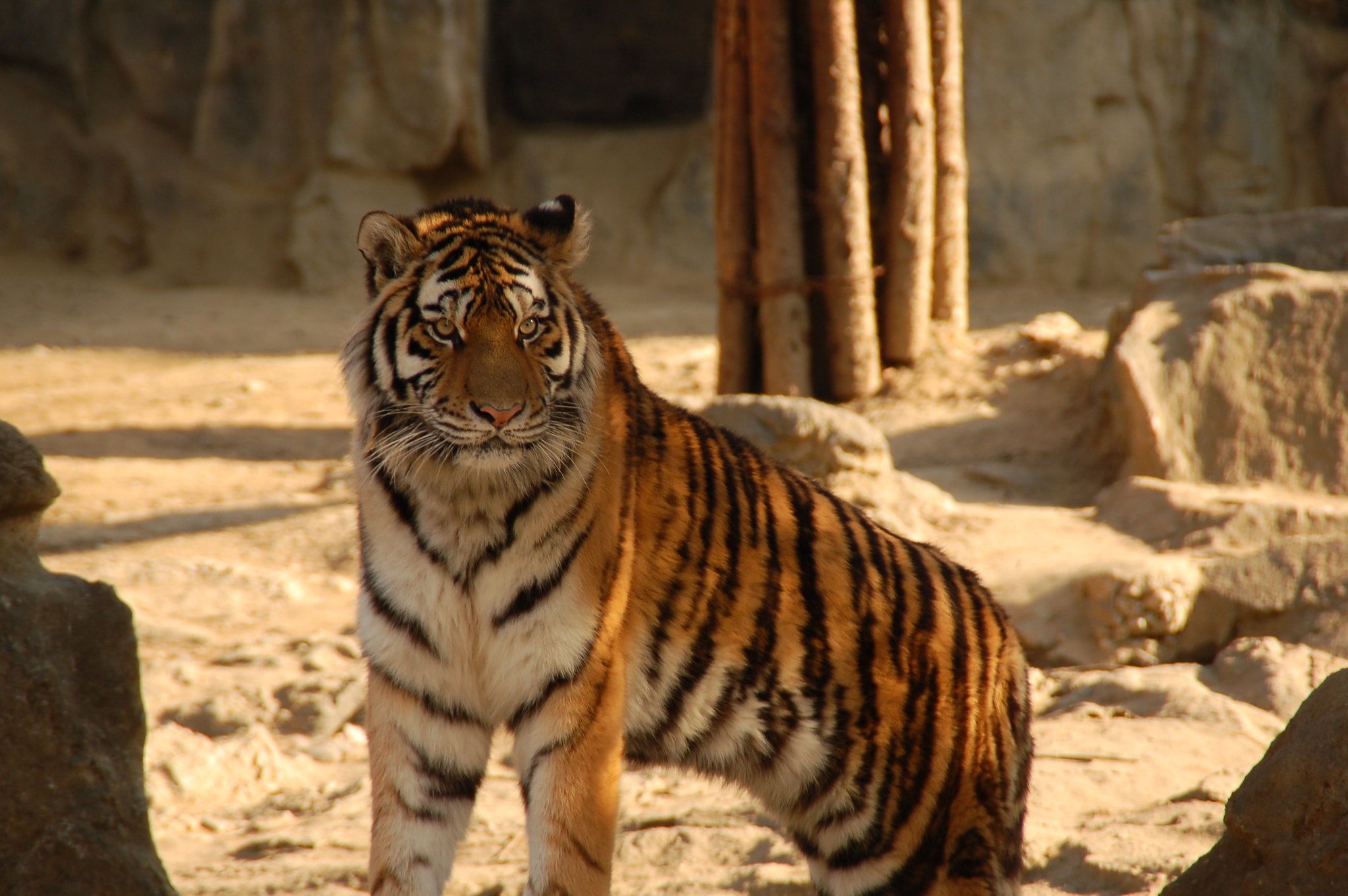 韩国旅游攻略推荐 (韩国首尔旅游必备神器)