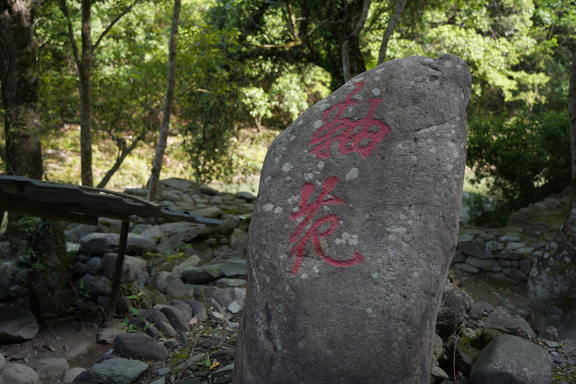 景德镇茶之源瓷之都,景德镇浮梁茶文化