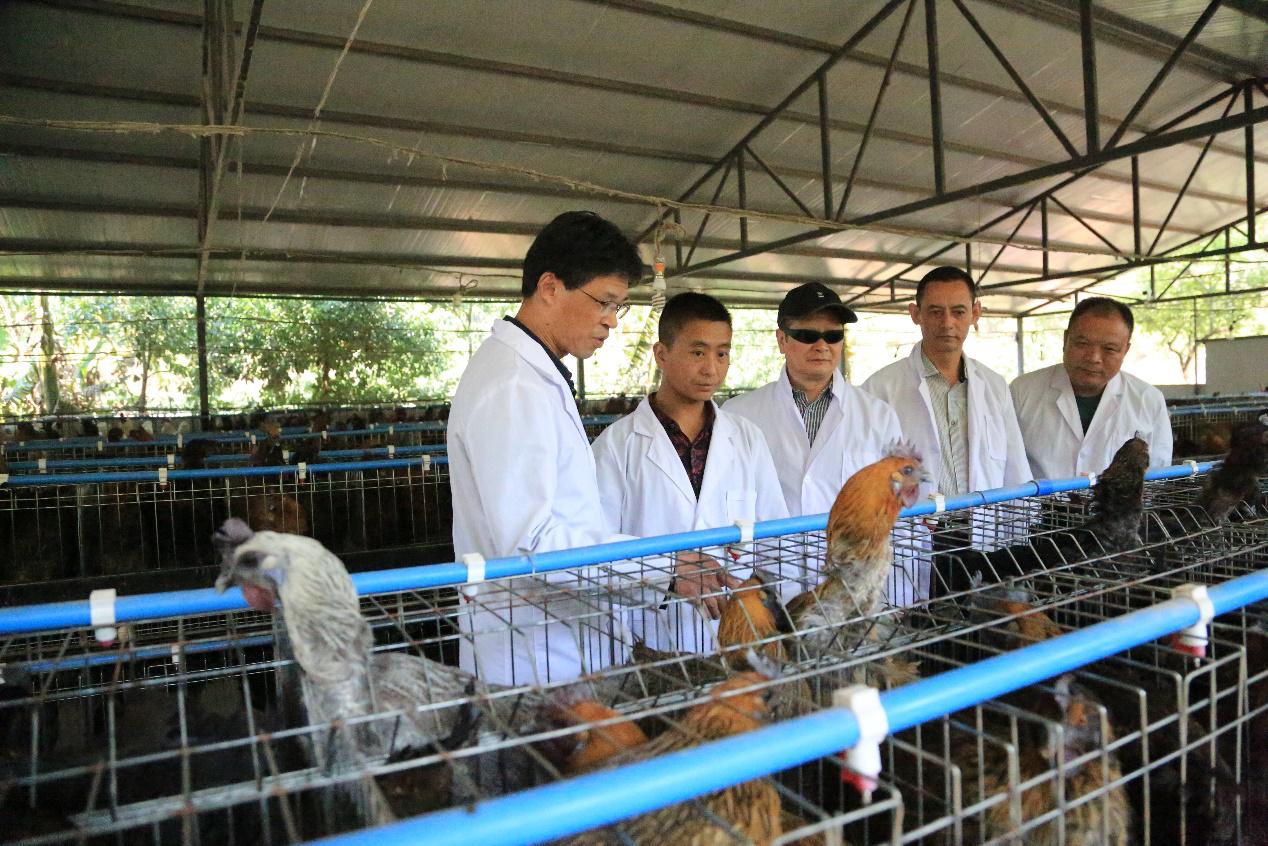 浙大二十大成果展,浙大新成果亮相