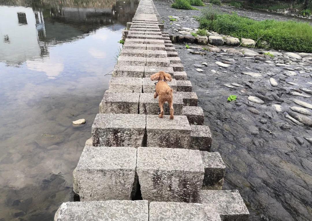 我要去旅行英文,我要去旅行完整版