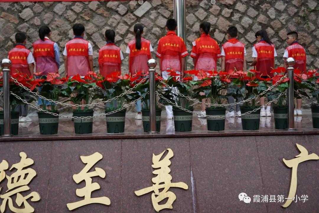 小小木棉花，校园小主人——霞浦一小“木棉花志愿者”小队成立仪式