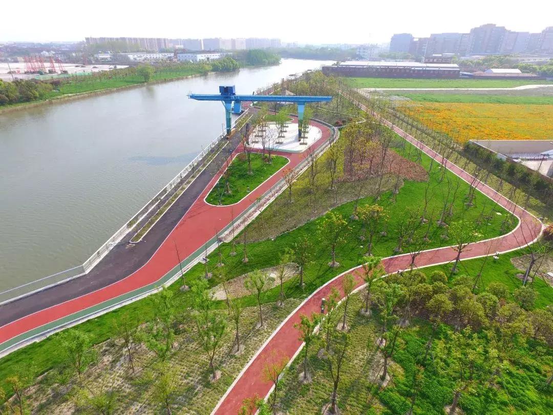 魔都最美健身步道普陀,魔都最美健康步道排名