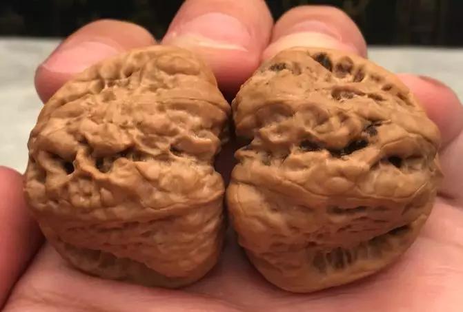 如何把玩文玩核桃视频,文玩核桃把玩后如何存放