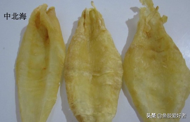 花胶鱼胶的功效与作用禁忌是什么,鱼胶花胶功效和禁忌