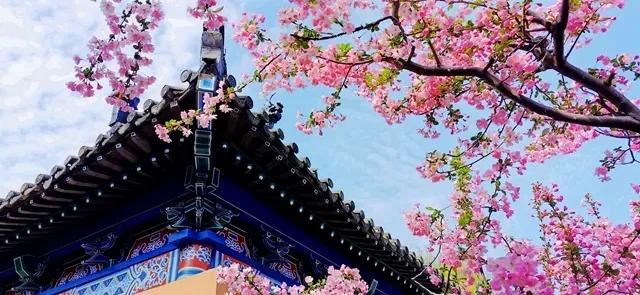 无锡三国城水浒城旅游视频,无锡三国水浒城一日游攻略自由行