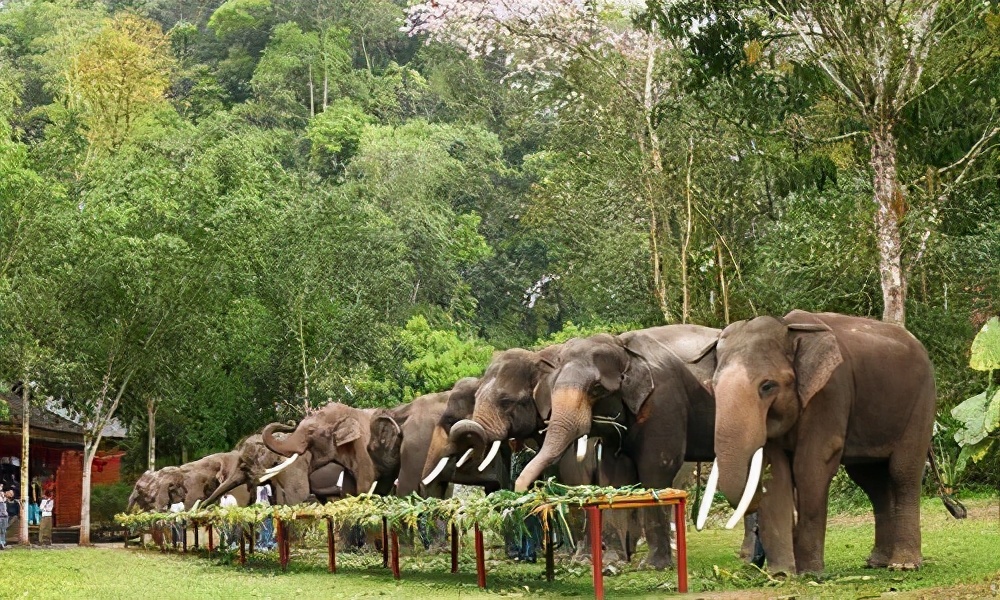 浜戝崡鏅椽榛庢槑涔嬪煄鍥剧墖,鏅椽榛庢槑涔嬪煄鍘嗗彶