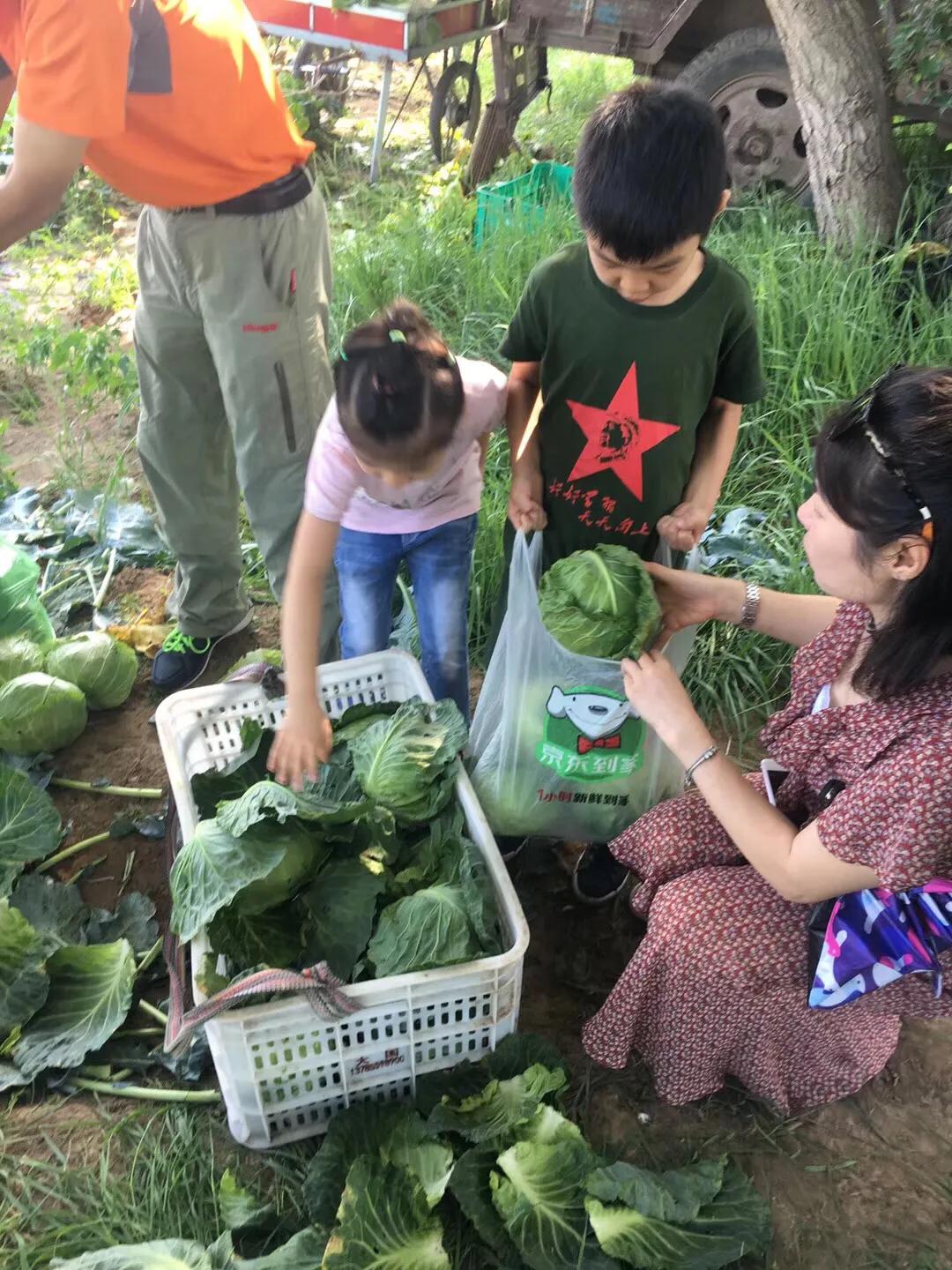 张北天路乌兰布统攻略,天津张北草原天路自驾游攻略