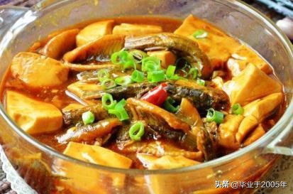 大连近海常见鱼类图鉴,大连哪里可以垂钓淡水鱼