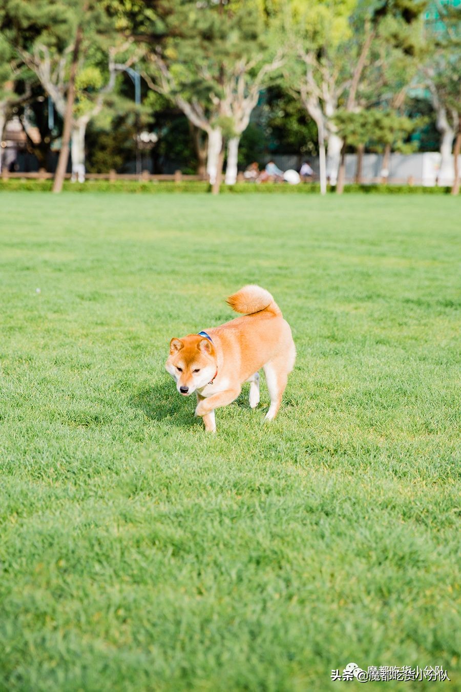 高考择校tips,高考择校指导985211