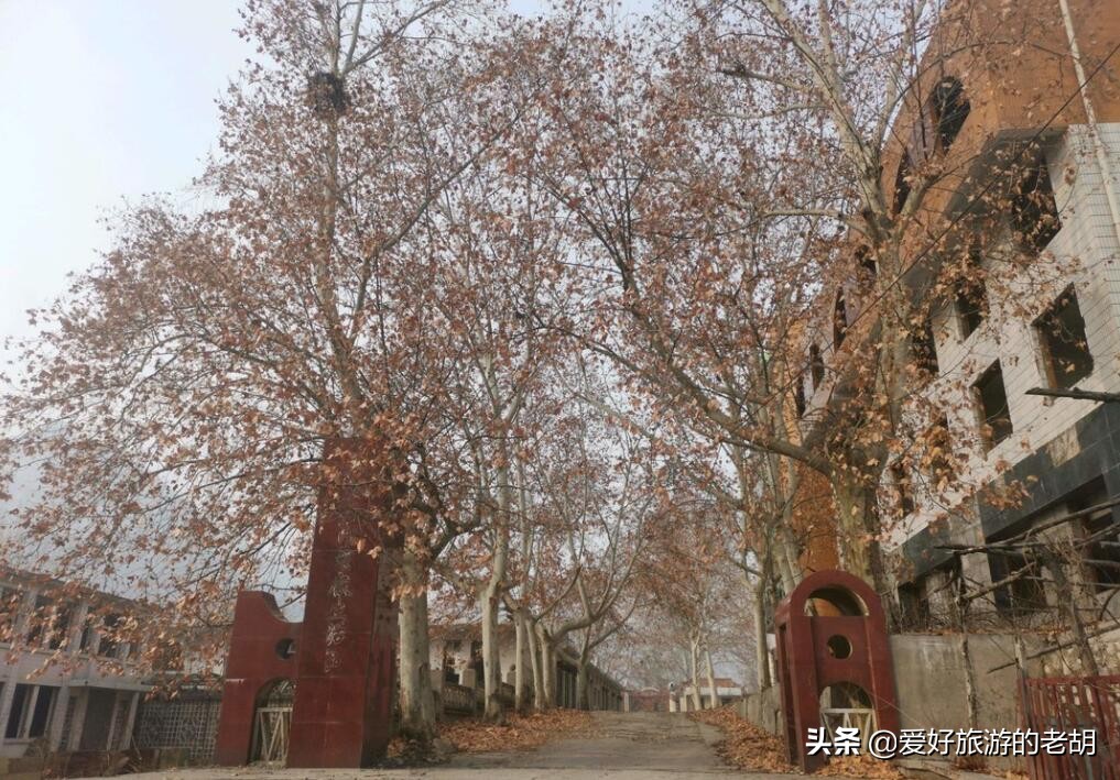 曾经上万人的繁华工厂,曾经一万多人的工业园区