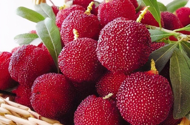 怀孕忍不住一直吐口水,早孕一直吐口水怎么缓解