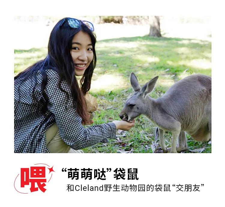 出国留学阿德莱德,为什么选择阿德莱德作为留学地