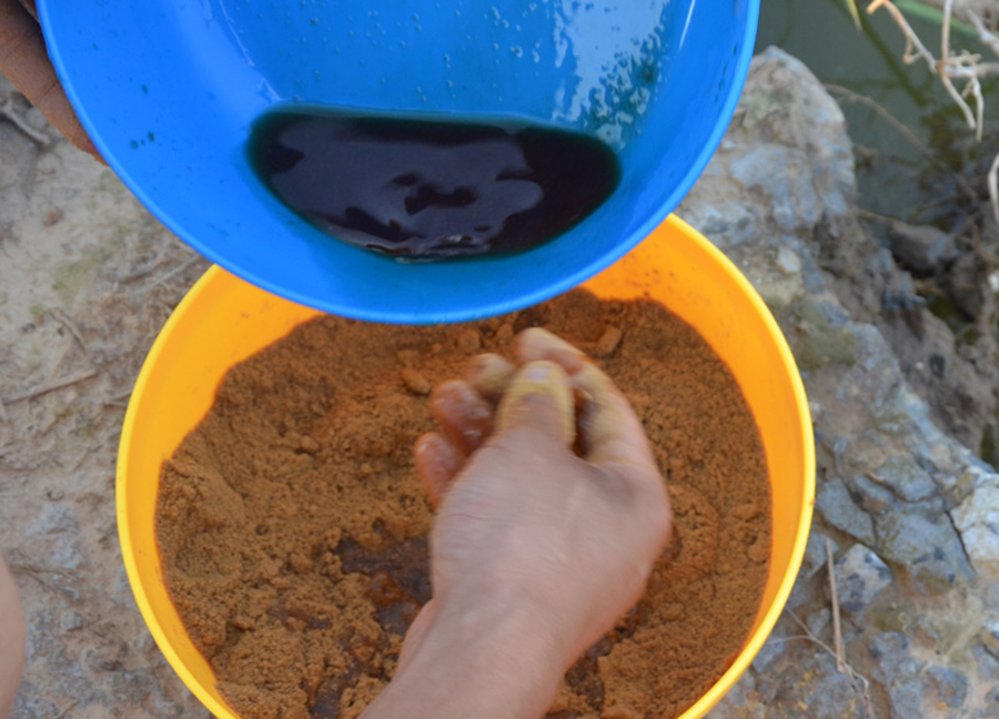 “小黄面”为什么风靡黑坑?它是一种怎样的钓饵,从四个方面探究