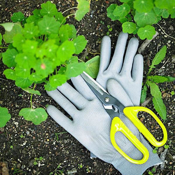 怎么测试花土ph值,怎么测花土的酸碱度