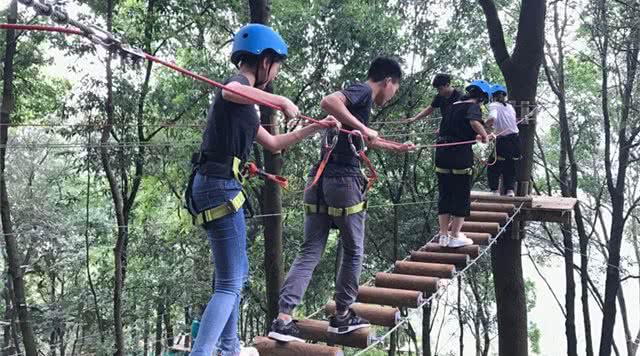 广东省内森林旅游景点,广东森林公园排行榜