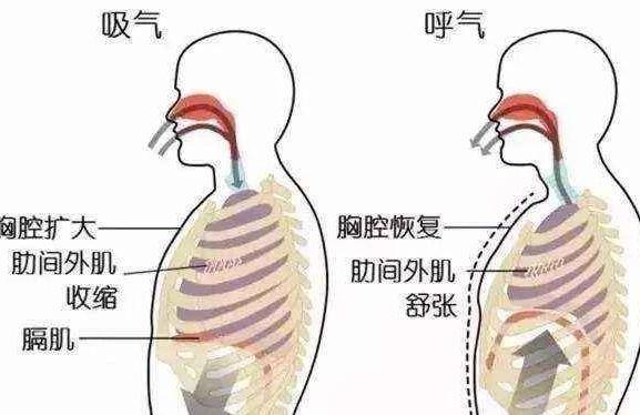 初学者练习瑜伽的正确方法,初学者练习瑜伽累怎么办