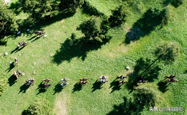 影像｜望作信：情缘“百里荒”13年，100多次拍摄