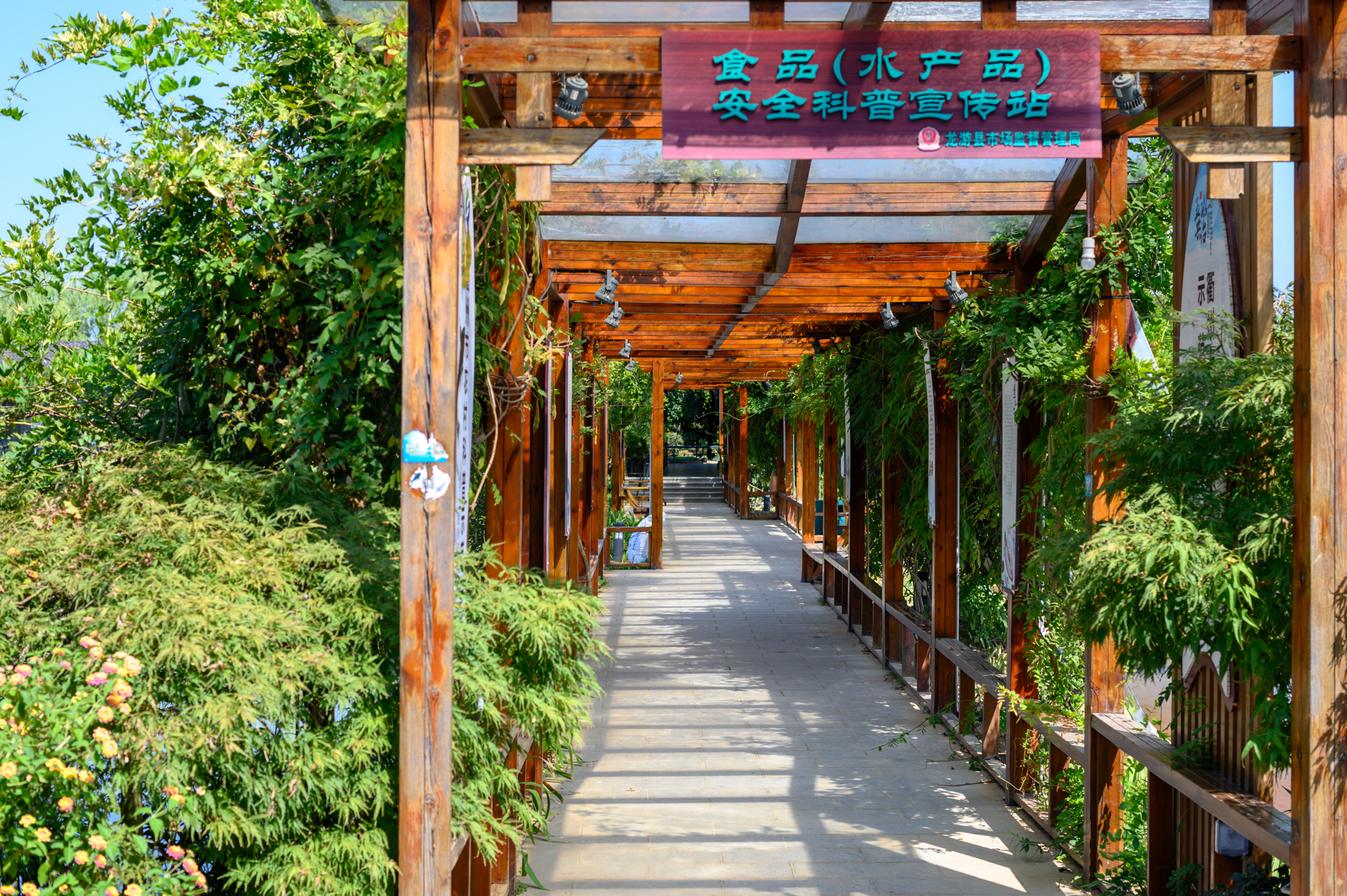 衢州十大旅游景点,衢州龙游湖镇旅游景点