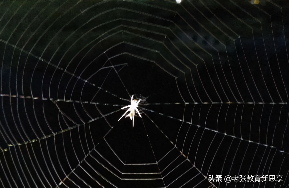 你想要什么就会被什么所牵绊,你想要什么你就会注意到什么