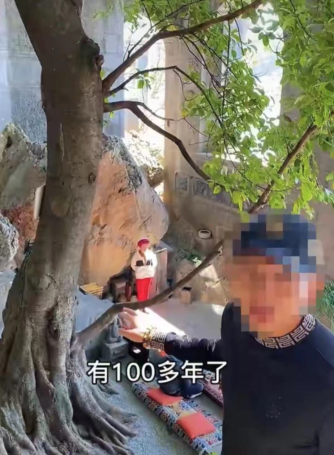 杨丽萍海景别墅的位置,杨丽萍海景豪宅