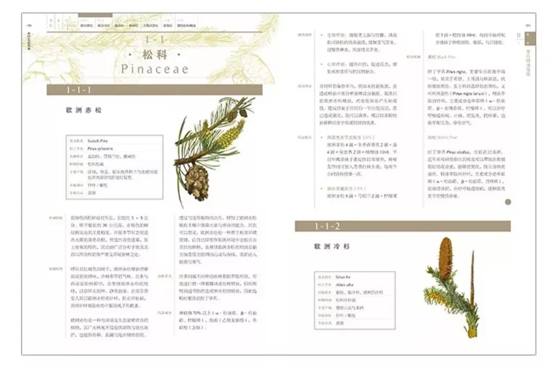 精油入门必备护肤品,平价单方精油推荐面部