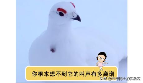 飞机上的马桶别乱用,飞机上的马桶为什么不容易粘