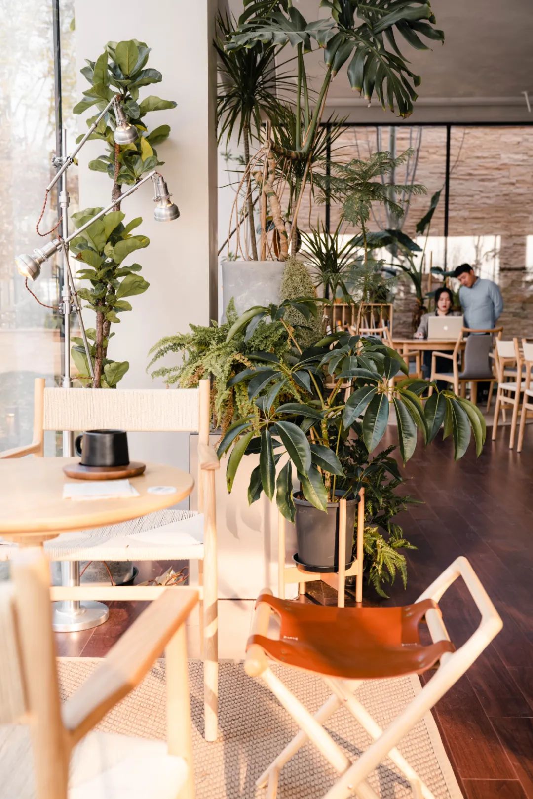 京城首家！探秘最热门“一尺花园”咖啡馆，西山脚*体下**会海派腔调