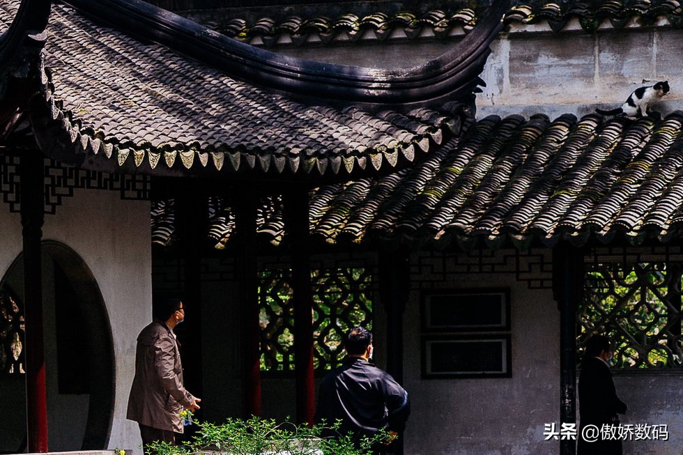 拙政园最让人欣赏的地方,拙政园十大特色