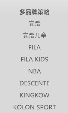 安踏崛起之路,安踏未来发展