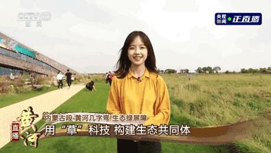 丁真掩盖了什么事,丁真网红滤镜