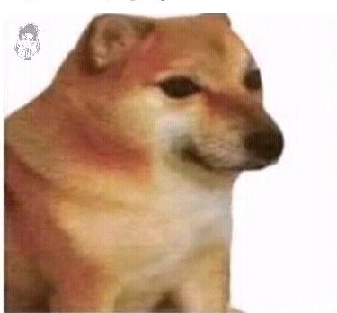 奇奇怪怪的网址,奇奇怪怪的网站图像