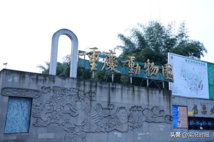 重庆主城野生动物园,重庆动物园最新规划