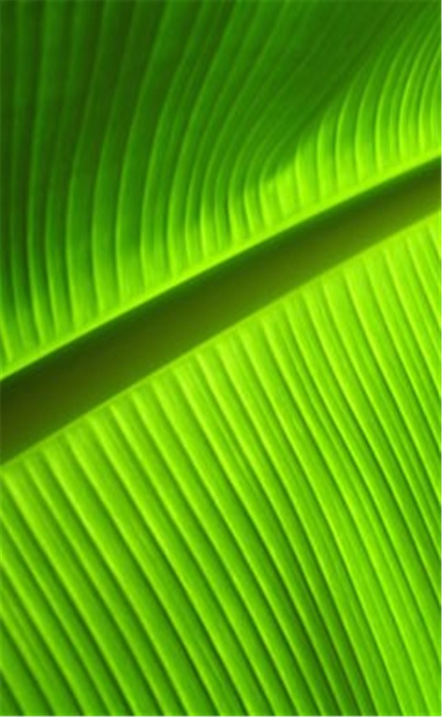 缓解眼睛疲劳动态图壁纸,好看的手机壁纸护眼高清图文