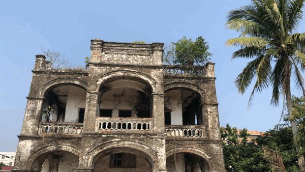 吴阳拉大网后续,吴阳直播海鲜