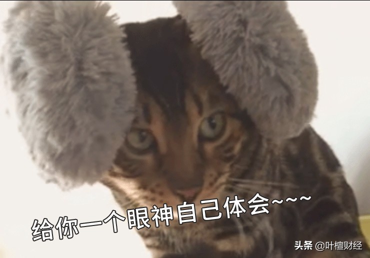 杀母骗保40万买房,弑母骗保买房