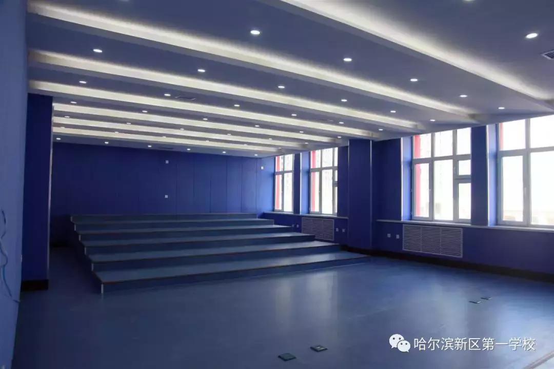 新区好学校,新区好的小学