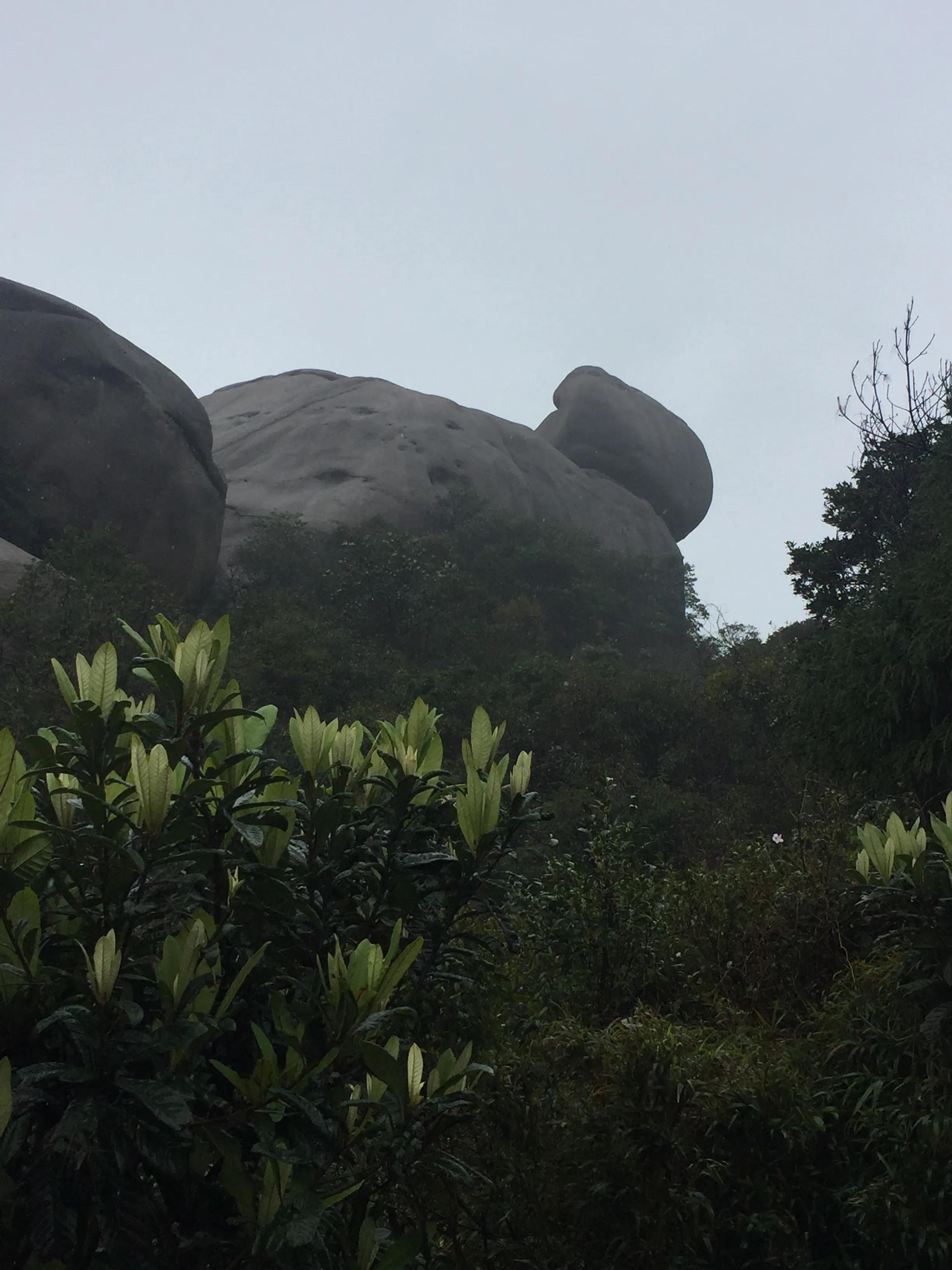 太姥山是国家5a级景区,太姥山景区5a