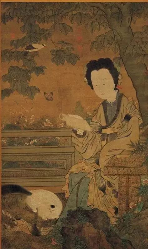 古代人是如何养猫的,古人养猫文化历史