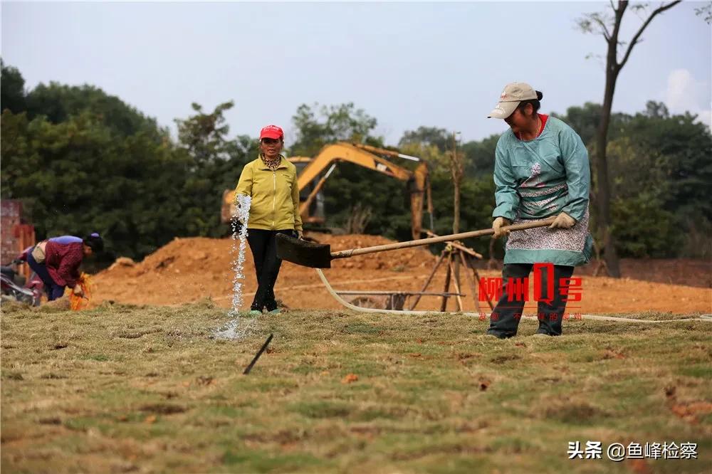 柳州园博园航拍图,柳州体育园最新规划