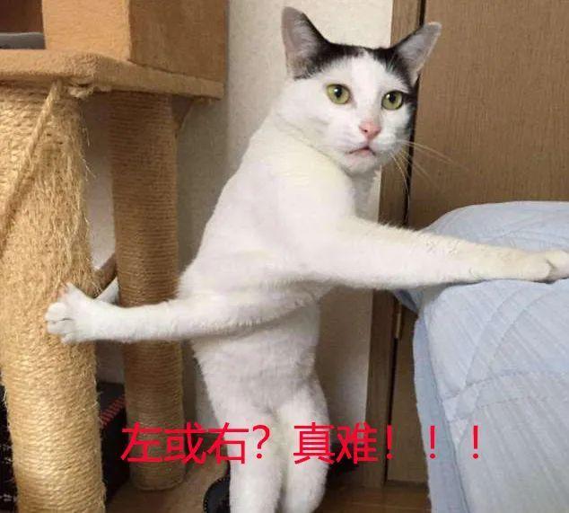 面对两难的选择怎么办,面对两难选择的时候我应该怎么做