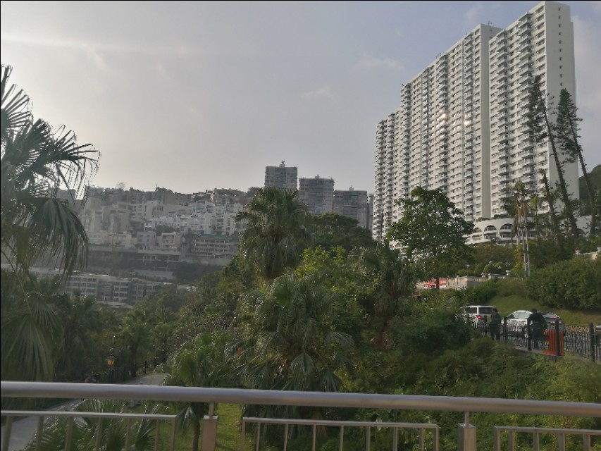 回顾难忘的香港之旅,我的第一次海上旅行