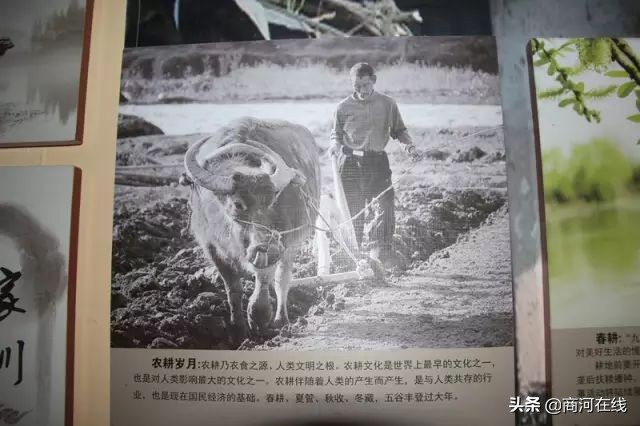 商河玉皇庙记忆,商河玉皇庙演武村近日视频