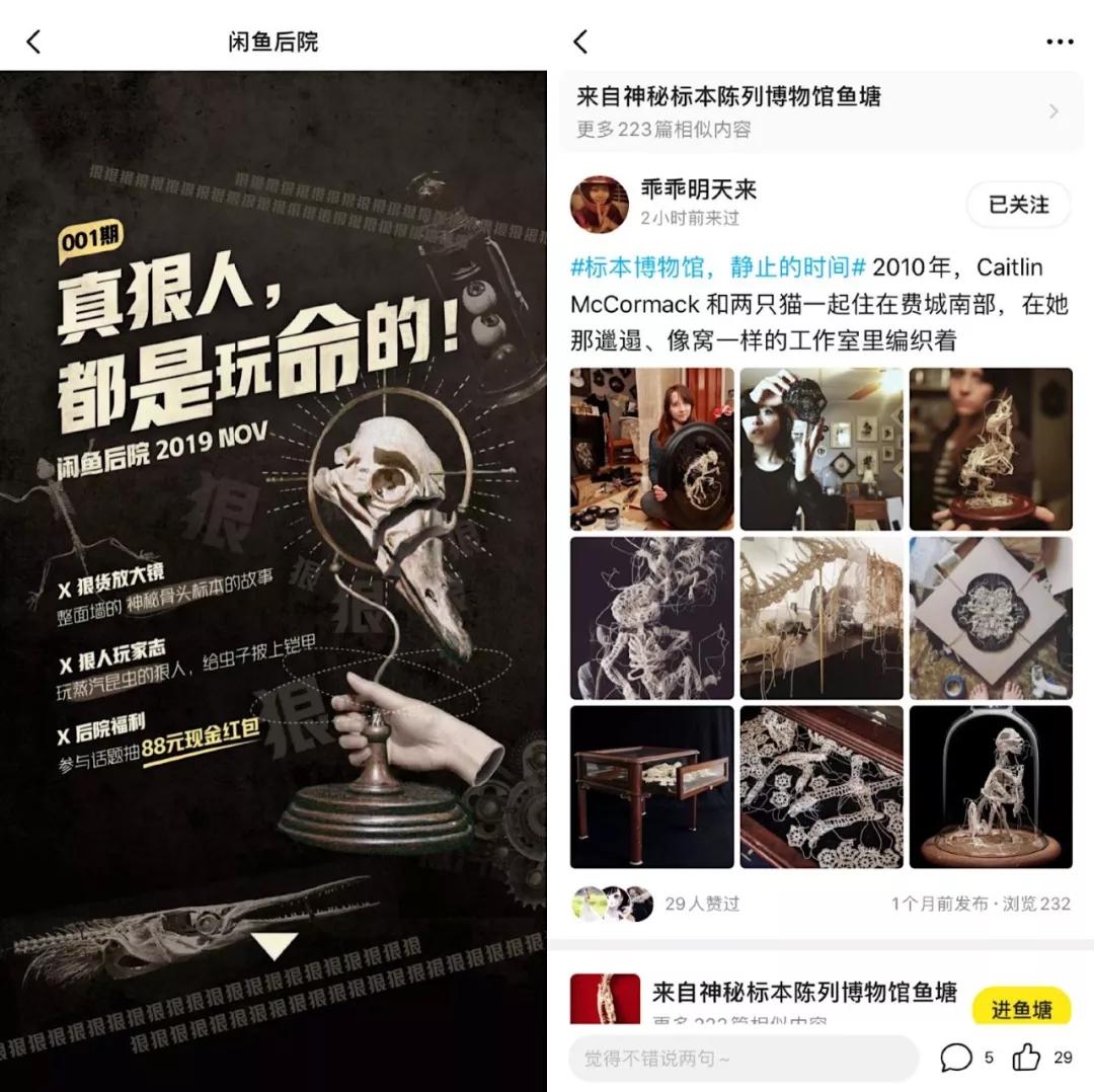 这些年闲鱼捡漏,闲鱼攻略大全简介