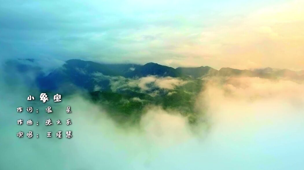 世界大象日,世界大象日活动策划